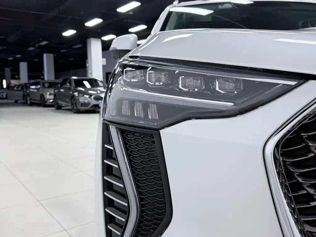 Haval Chulian 2021 из CN, фото 4