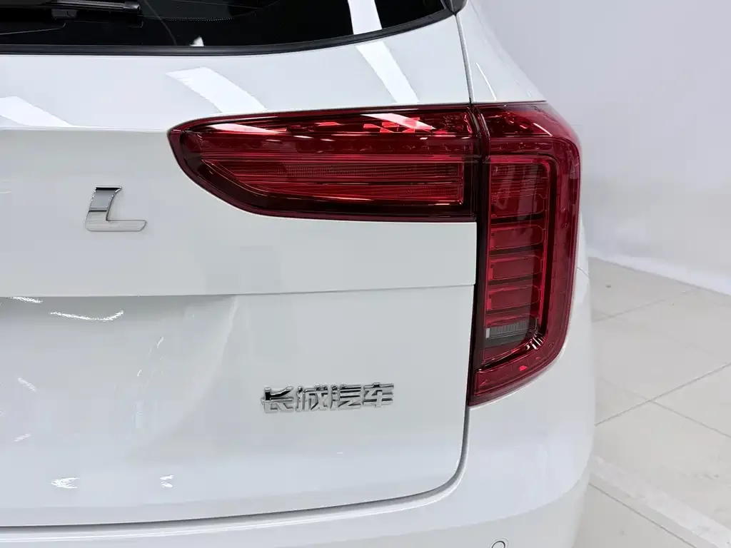 Haval Chulian 2021 из CN, фото 9