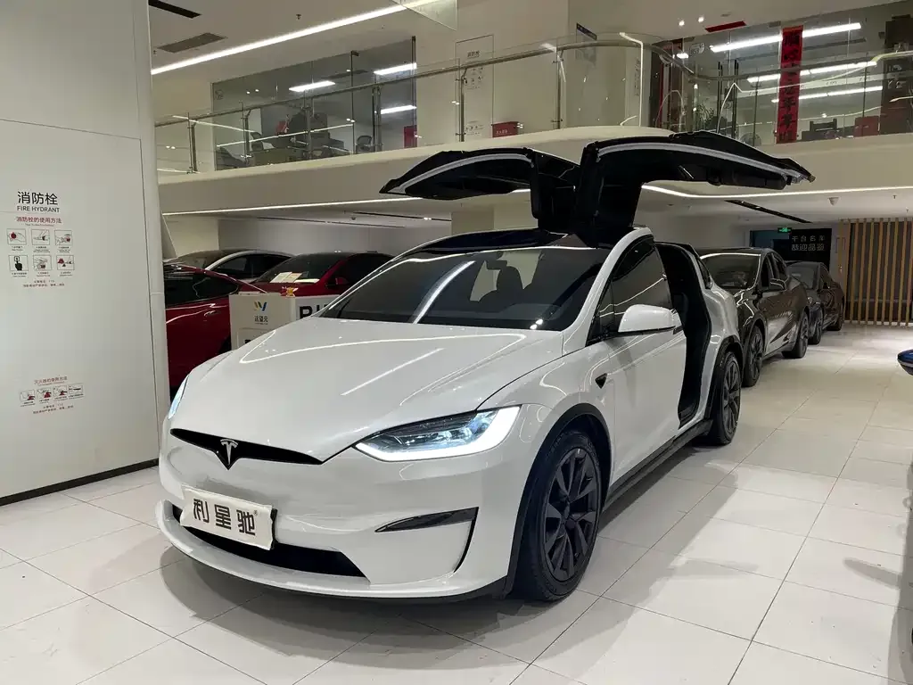 Tesla Model X — фото 1