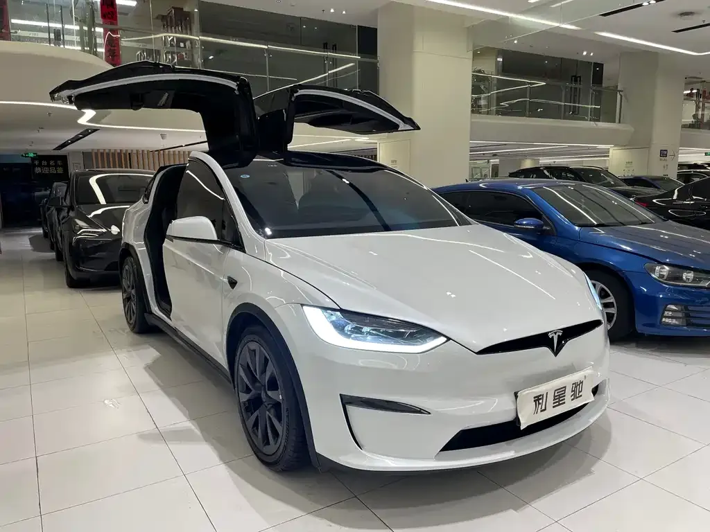 Tesla Model X — фото 8