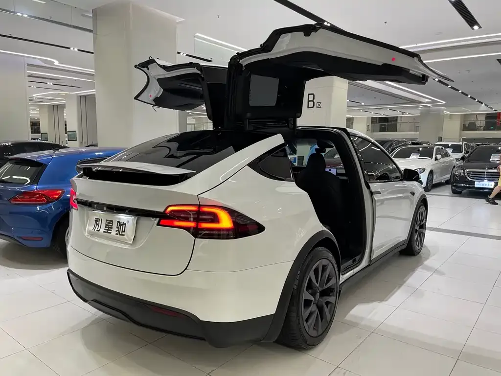 Tesla Model X — фото 10