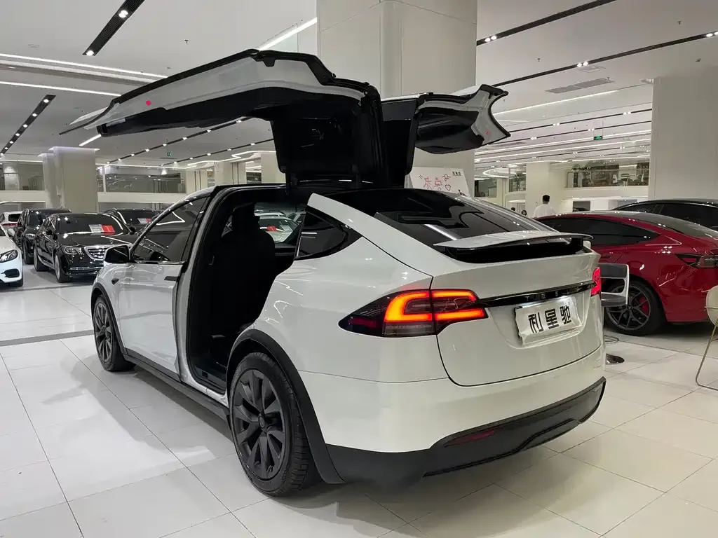 Tesla Model X — фото 6