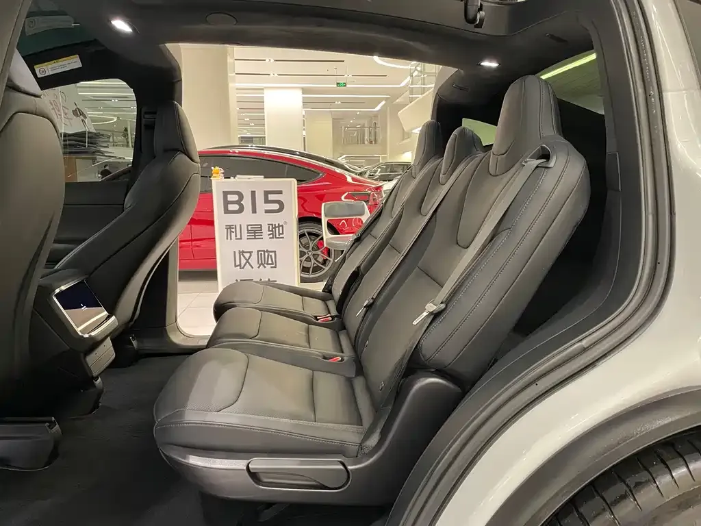 Tesla Model X — фото 3