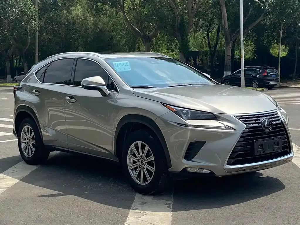 Lexus NX — фото 10