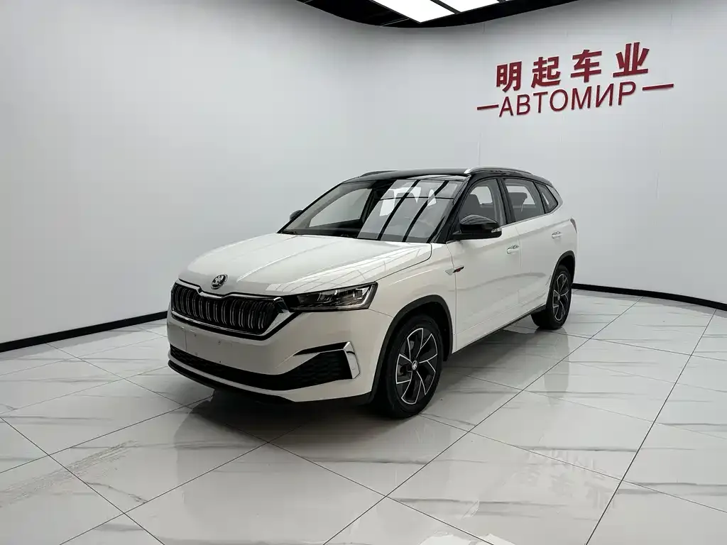 Skoda Kamiq — фото 4