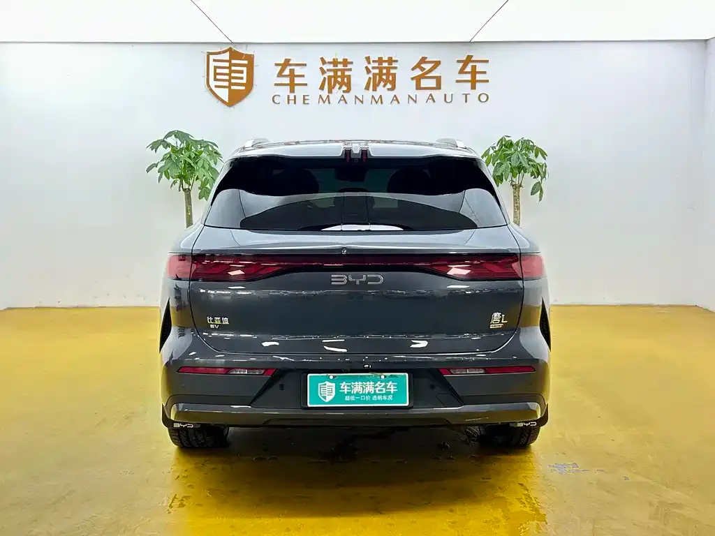BYD Tang L — фото 6