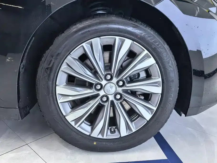 Hongqi E-QM5 — фото 10