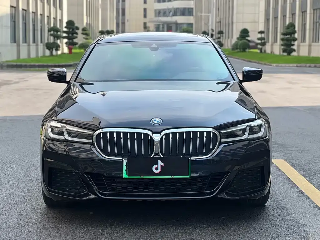 BMW 5 Series New Energy — фото 6