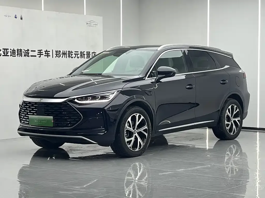 BYD Tang New Energy — фото 1