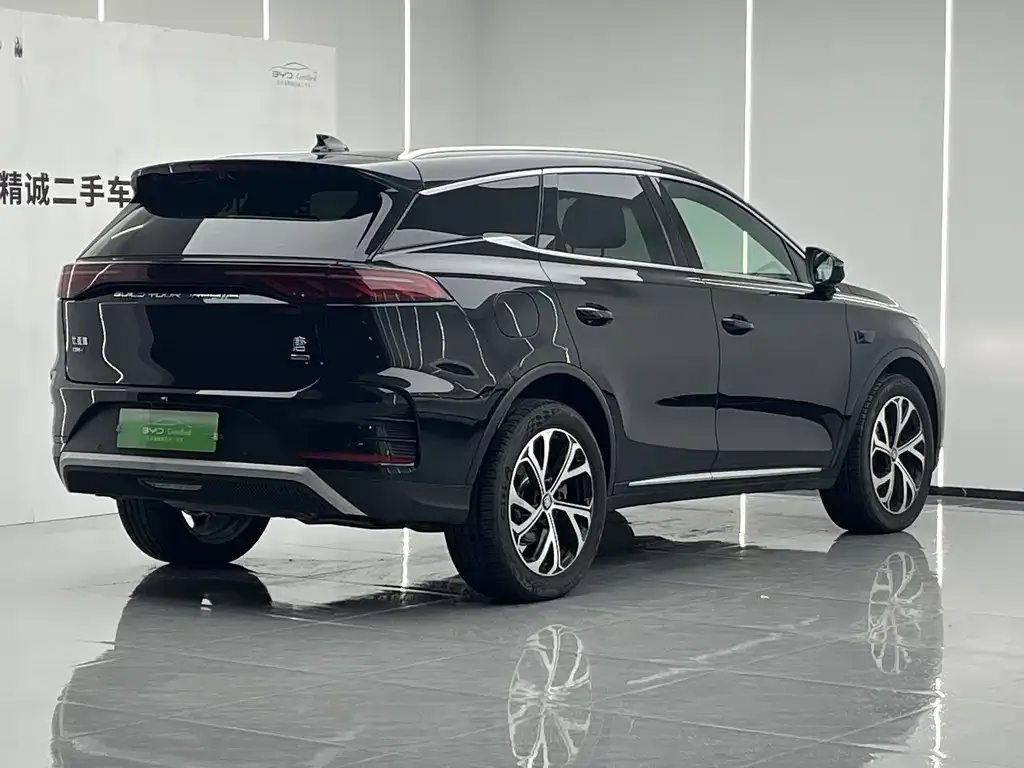 BYD Tang New Energy — фото 10