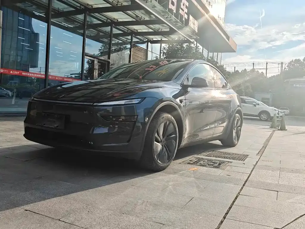 Tesla Model Y — фото 1