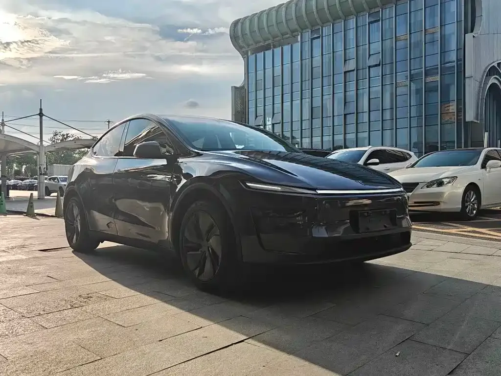 Tesla Model Y — фото 8