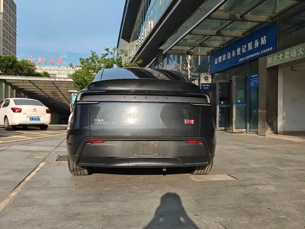 Tesla Model Y — фото 6
