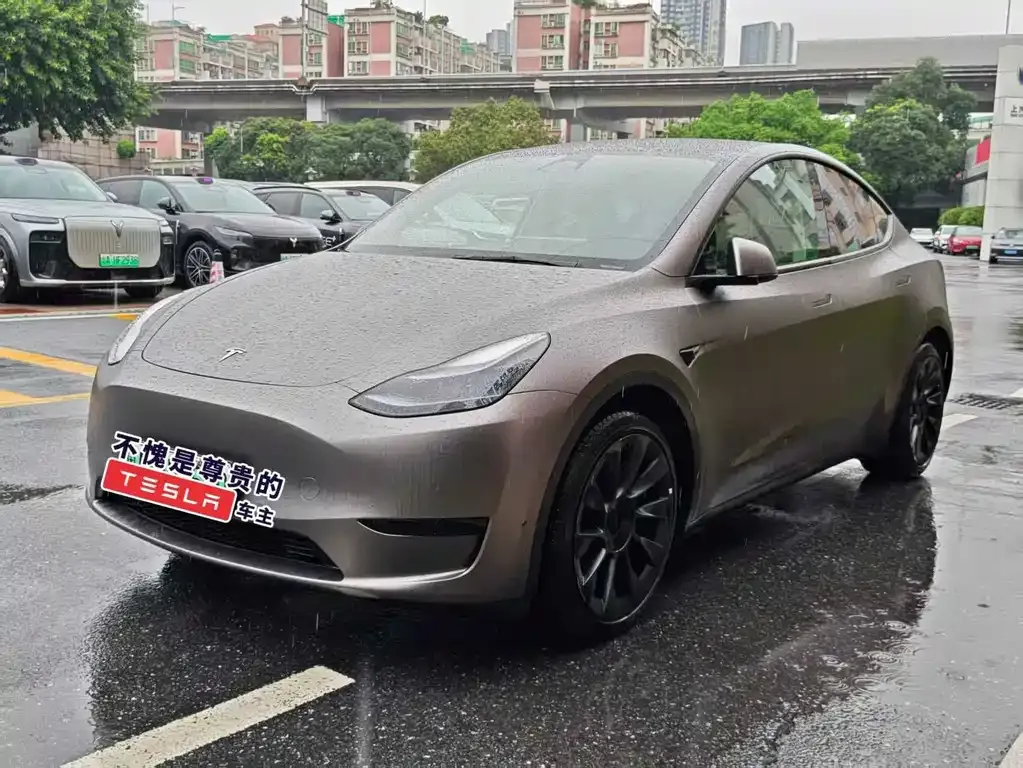 Tesla Model Y — фото 1