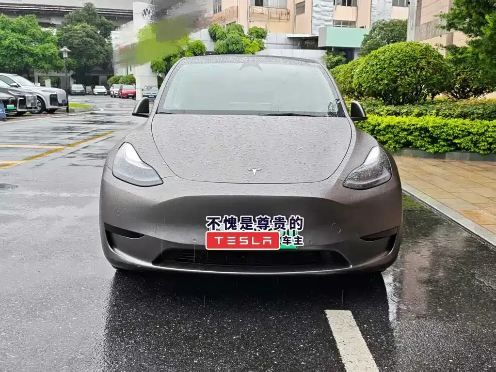 Tesla Model Y — фото 2