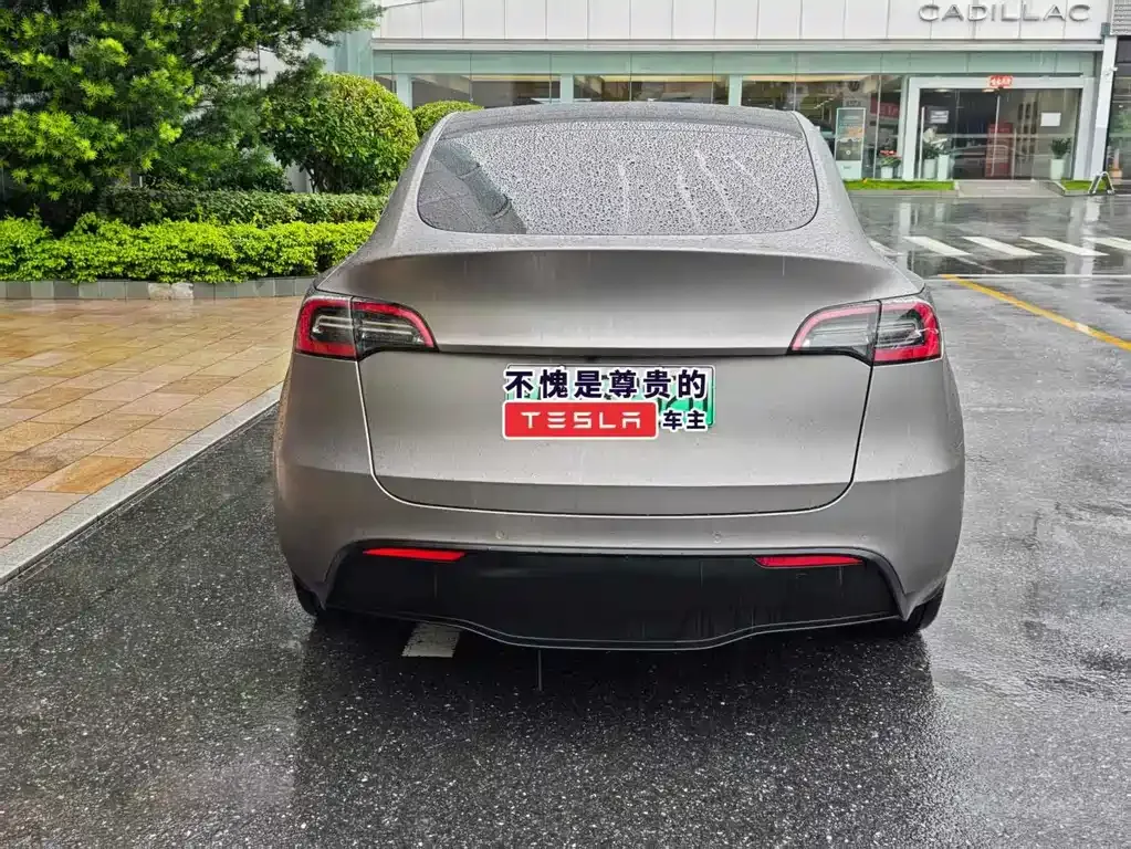 Tesla Model Y — фото 9