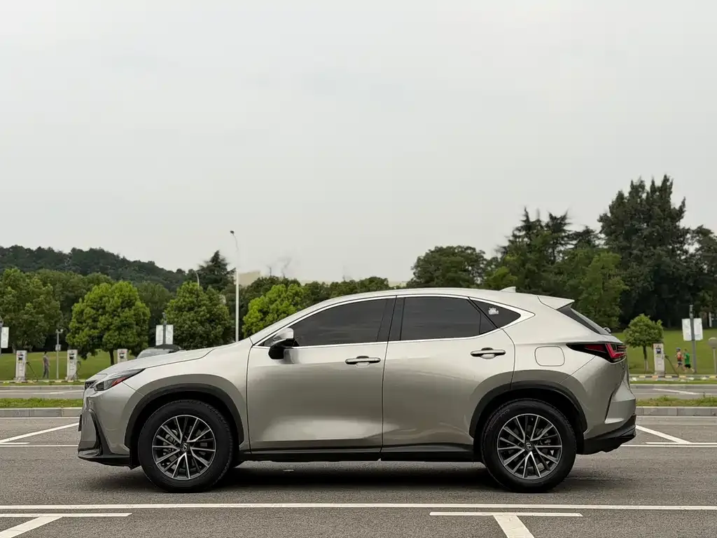 Lexus NX — фото 6