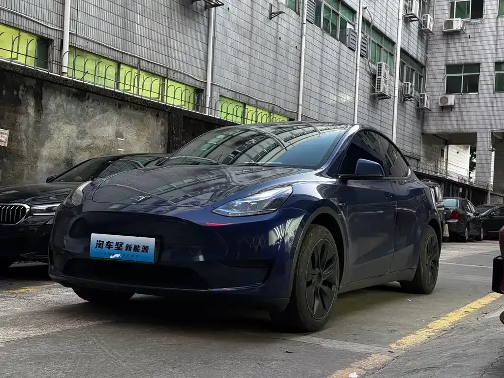 Tesla Model Y — фото 1