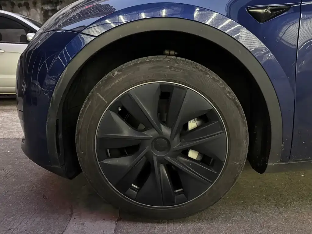 Tesla Model Y — фото 10