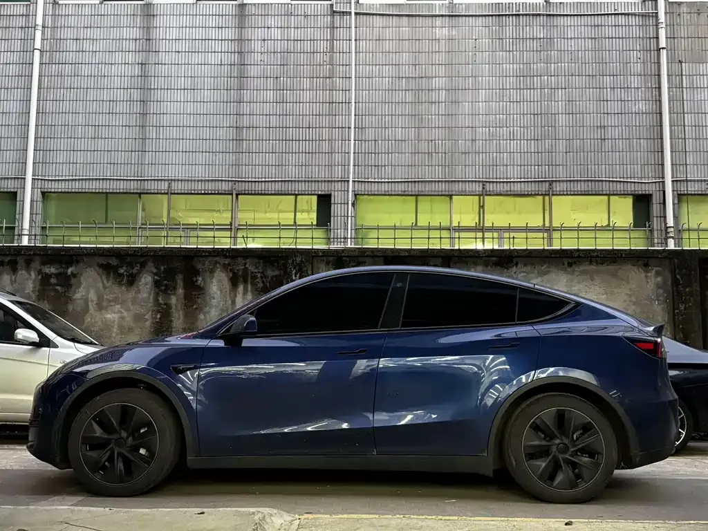 Tesla Model Y — фото 9
