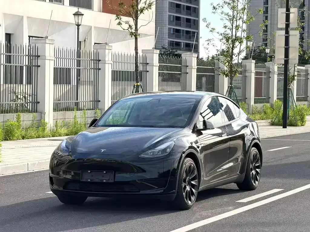 Tesla Model Y — фото 1
