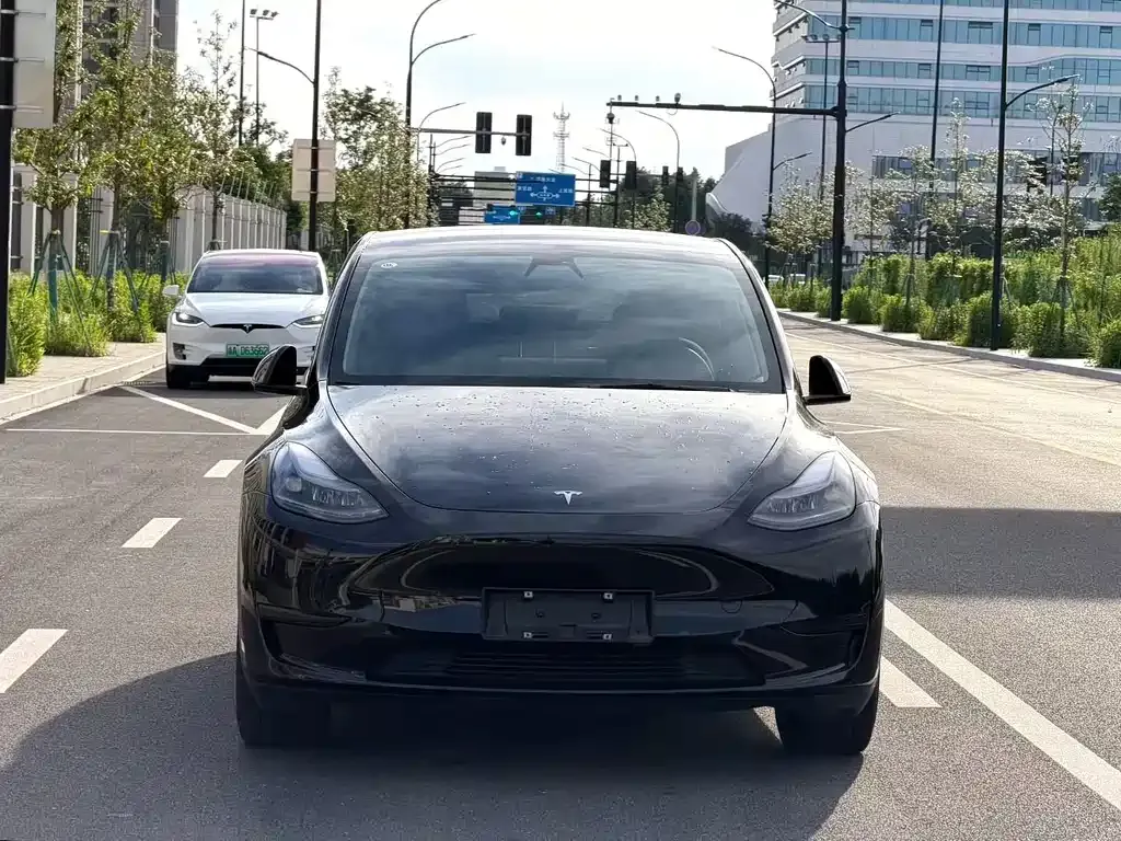 Tesla Model Y — фото 6