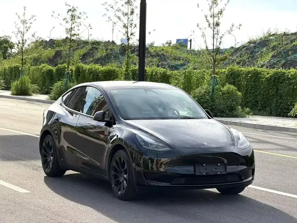 Tesla Model Y — фото 8