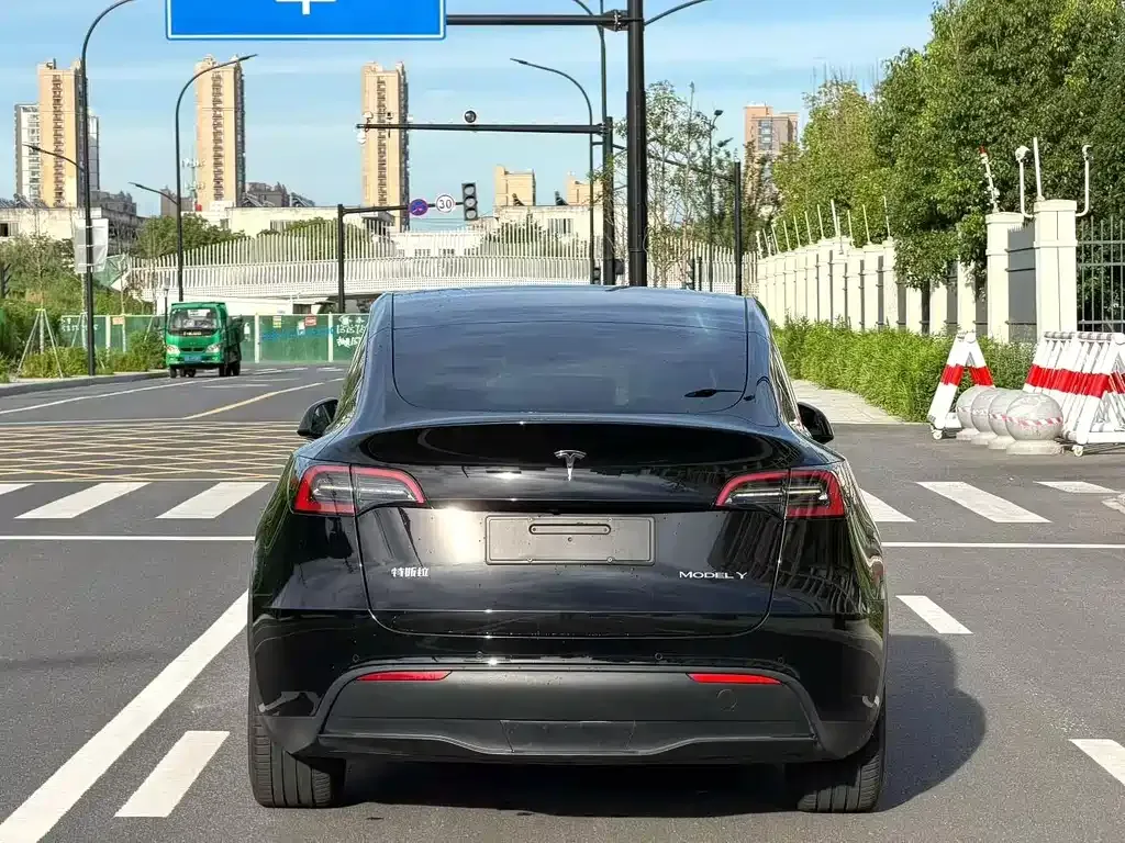 Tesla Model Y — фото 5