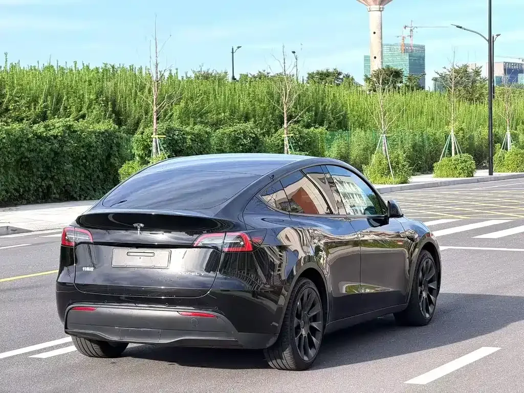 Tesla Model Y — фото 7