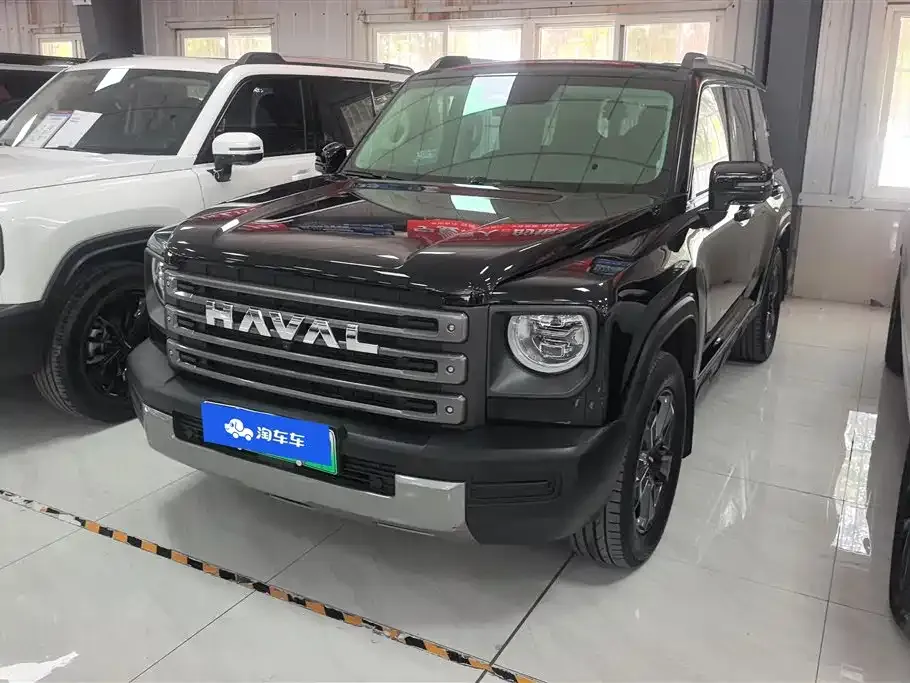 Haval Menglong New Energy — фото 1