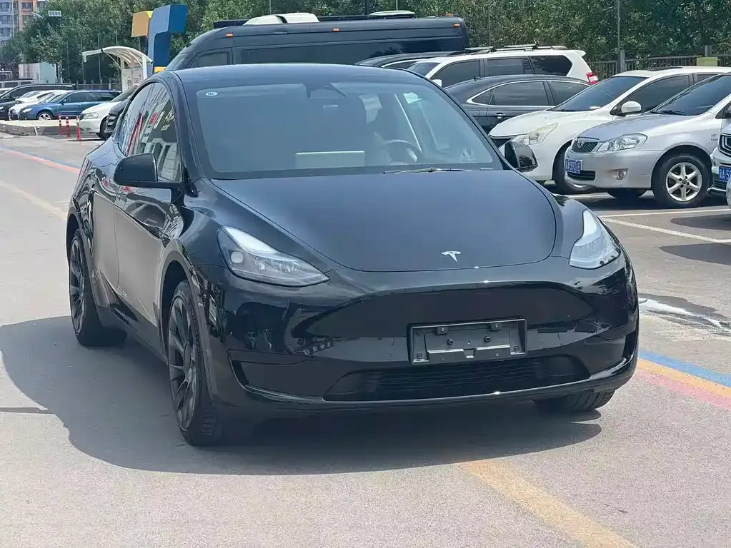 Tesla Model Y — фото 8
