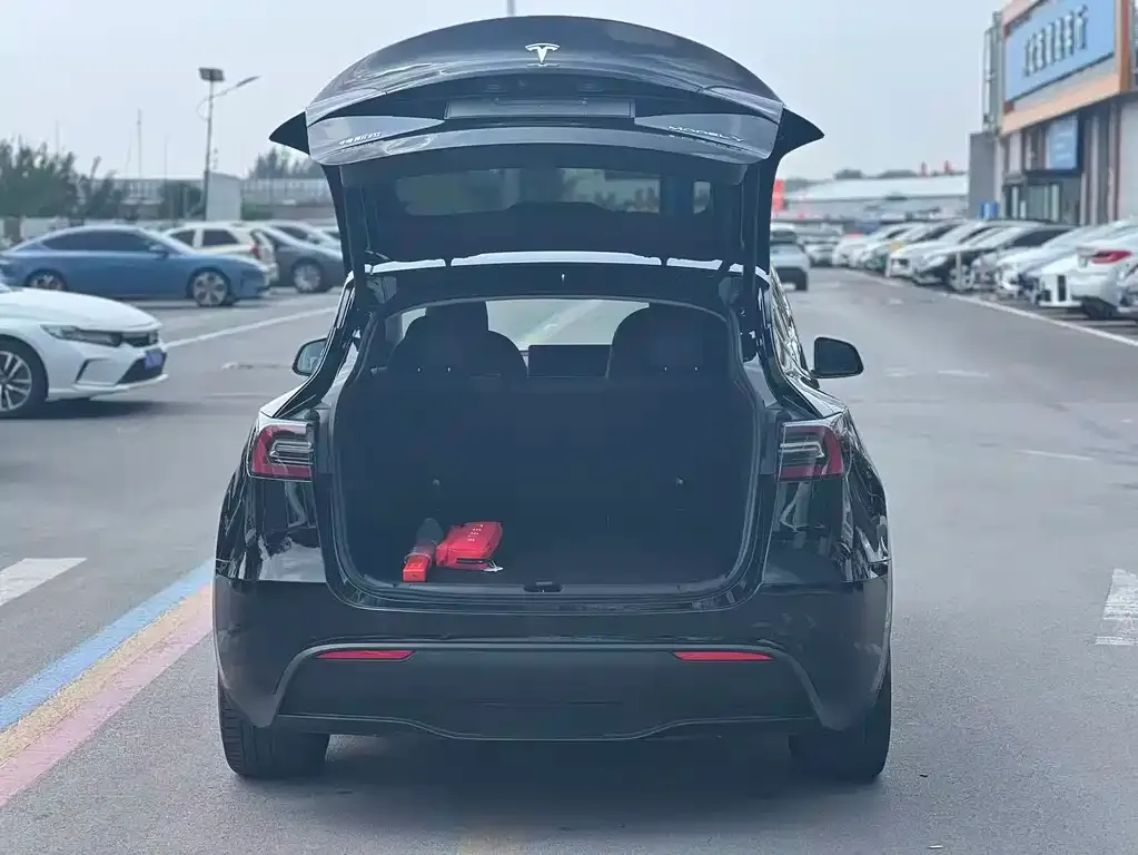 Tesla Model Y — фото 6