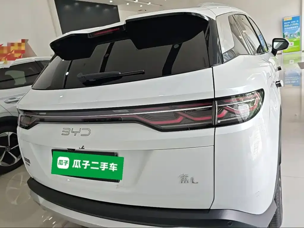 BYD L DM-i 2024 из CN, фото 4