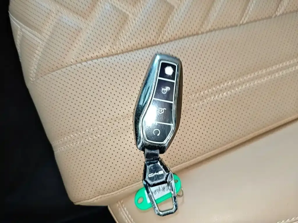 BYD L DM-i 2024 из CN, фото 10