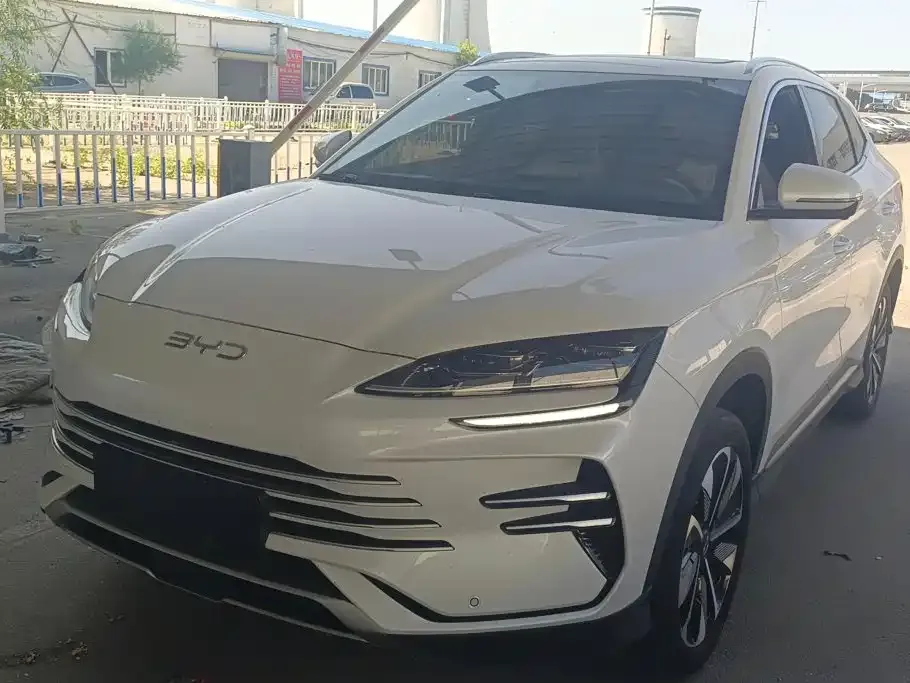 BYD PLUS New Energy — фото 1