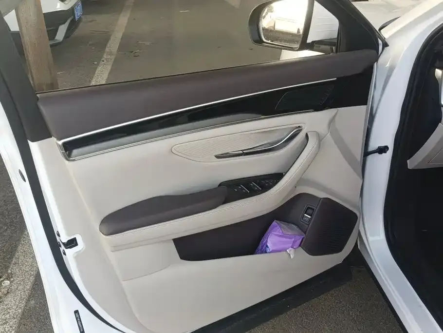 BYD PLUS New Energy — фото 10