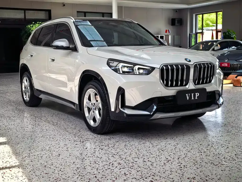BMW X1 — фото 10