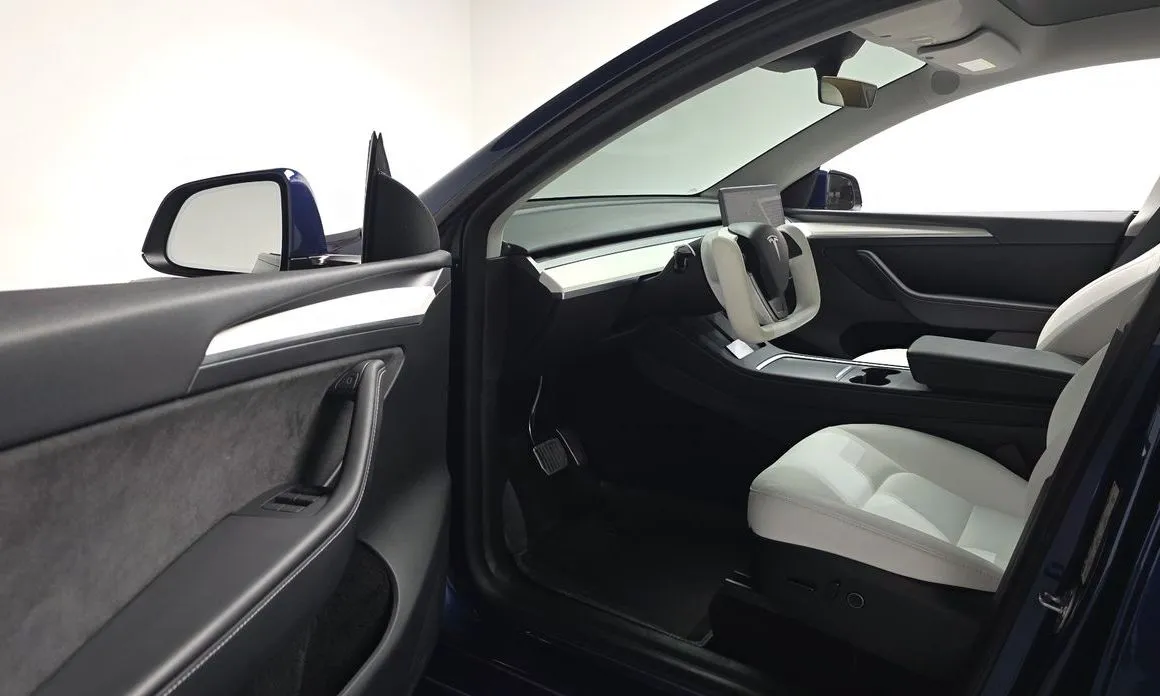 Tesla Model Y — фото 9