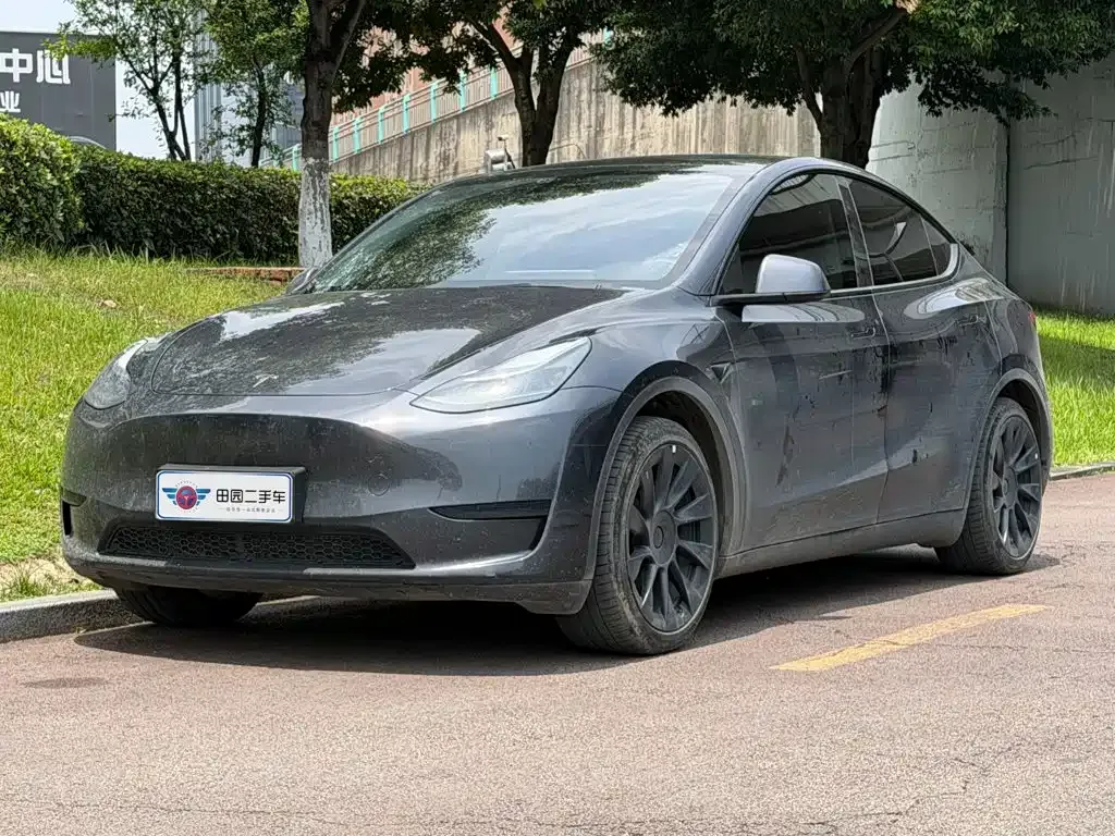 Tesla Model Y — фото 1