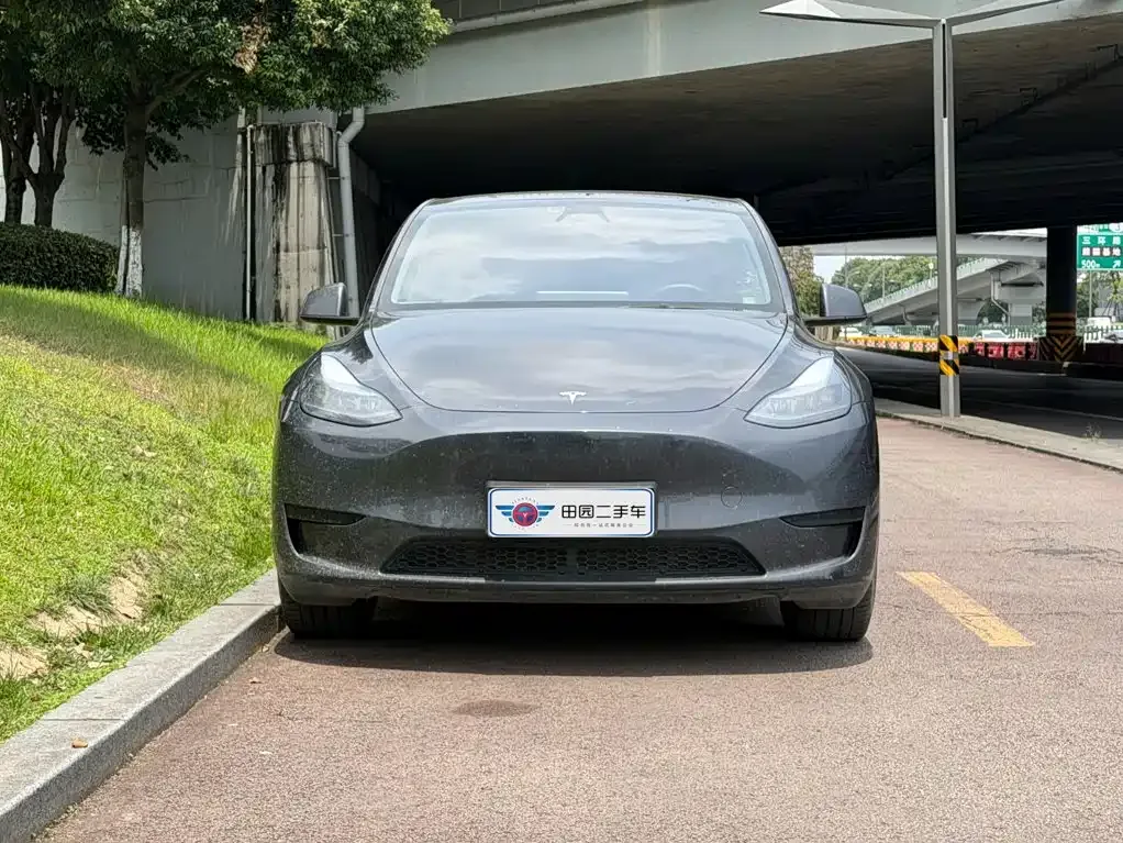 Tesla Model Y — фото 3