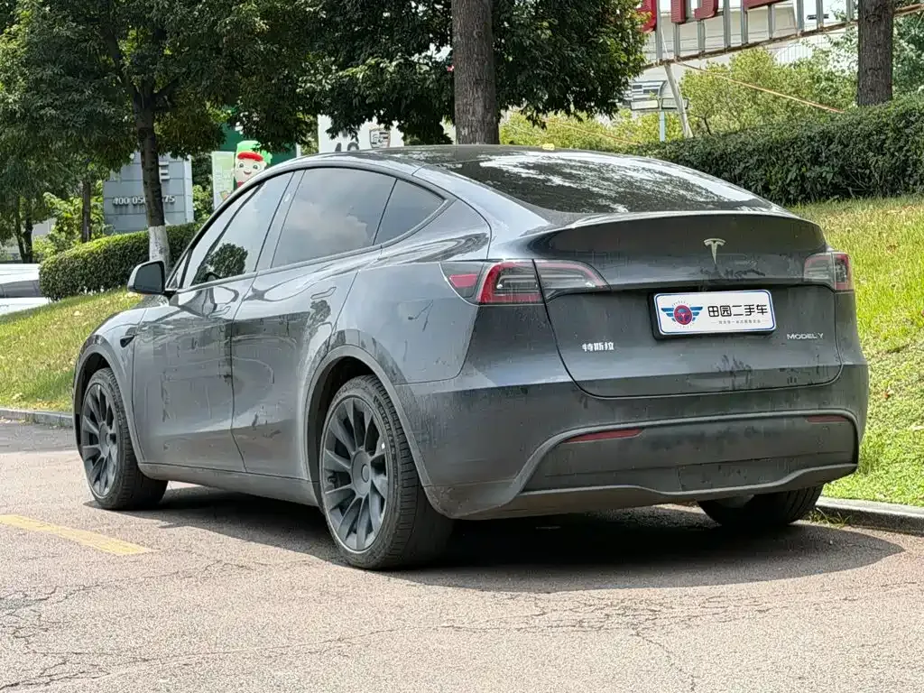 Tesla Model Y — фото 5