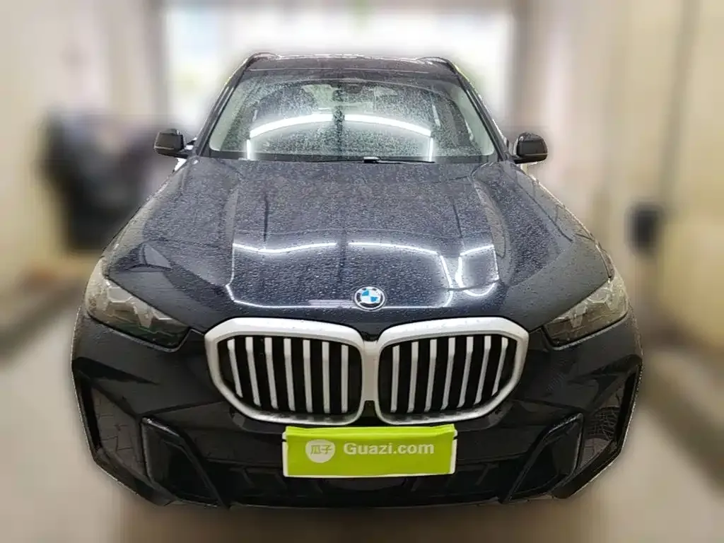 BMW X5 — фото 10