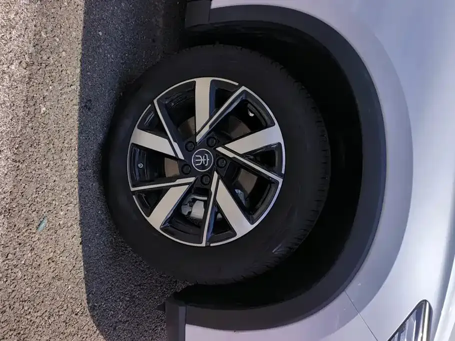 BYD Pro New Energy — фото 4