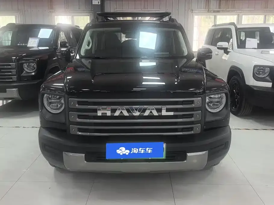 Haval Menglong New Energy — фото 8