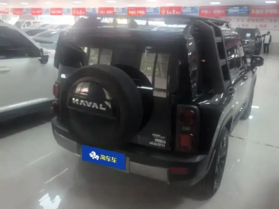 Haval Menglong New Energy — фото 10