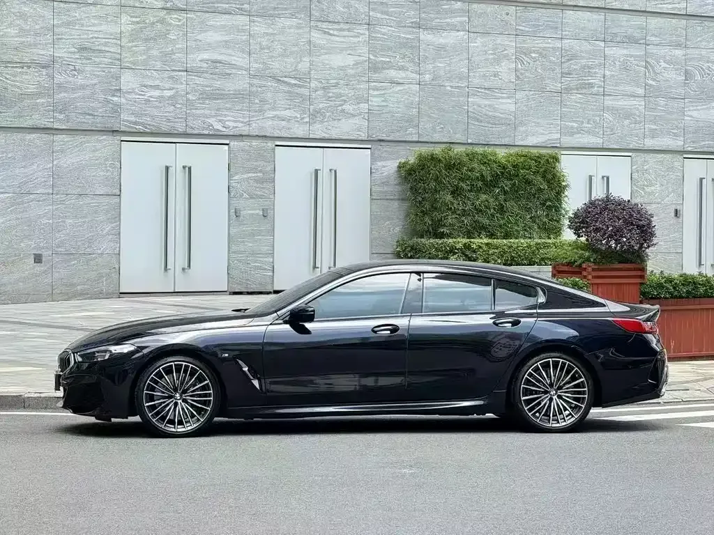BMW 8 Series — фото 9