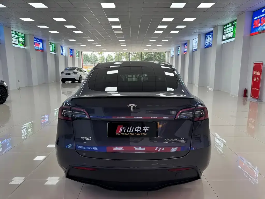 Tesla Model Y — фото 6