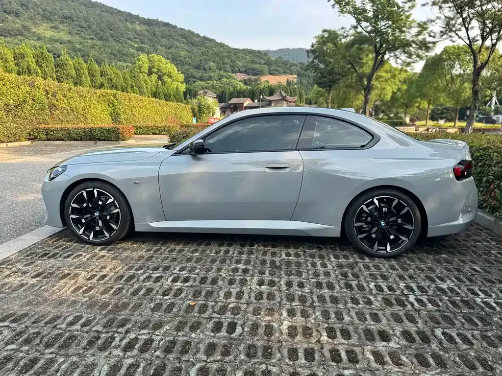 BMW 2 Series (Import) — фото 9