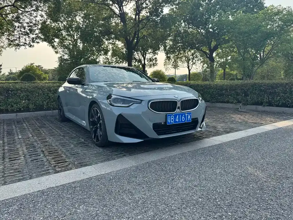 BMW 2 Series (Import) — фото 10