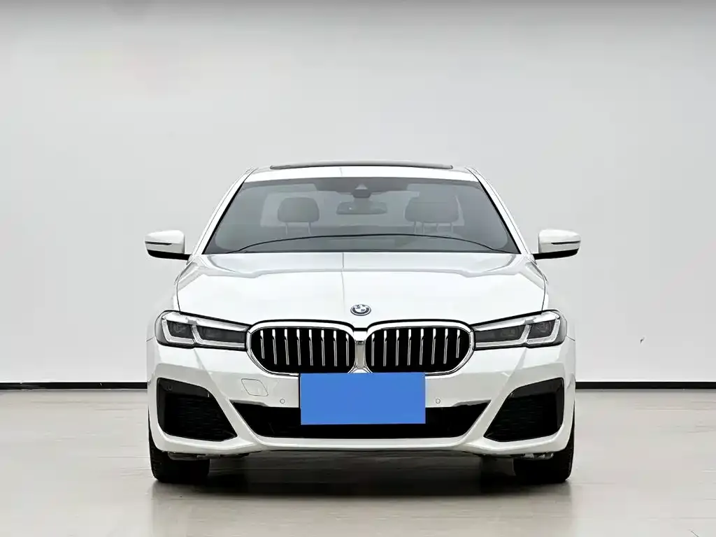 BMW 5 Series New Energy — фото 4